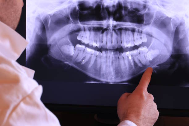 Best Emergency X-Rays and Diagnostics in Worthgton, IN