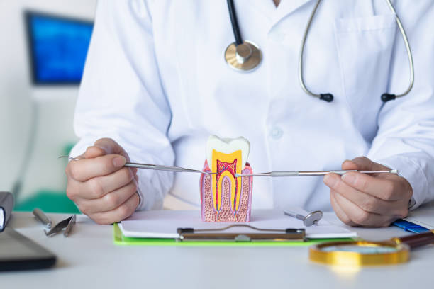 Best Broken or Chipped Tooth Repair in Worthgton, IN